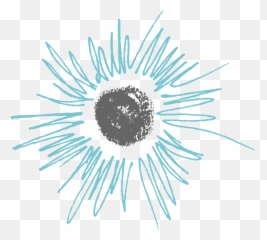 Lloyd Grey - Our work Brand strategy for business growth Dot png