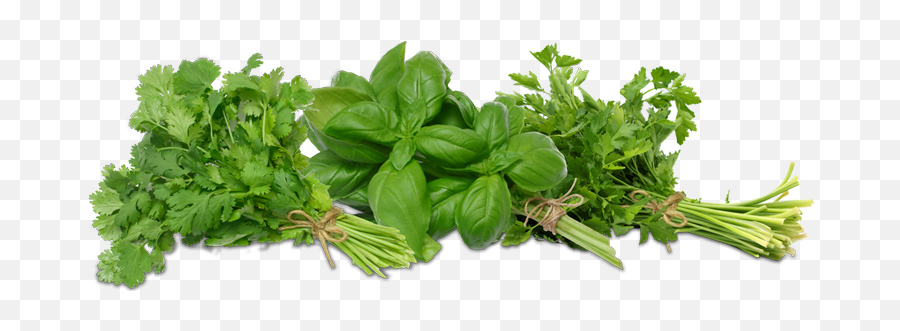 Hd Png Transparent Herbs - Fresh Herbs Png,Herbs Png