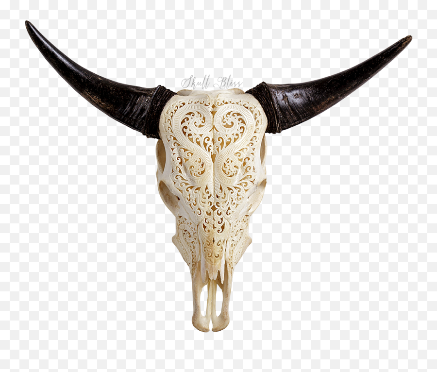 Texas Longhorn Animal Skulls Bull - Decorated Cow Skulls Png,Longhorn Png