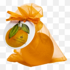Clementine Soap Novelty Soaps The Yorkshire Company - Valencia Orange Png,Clementine Png