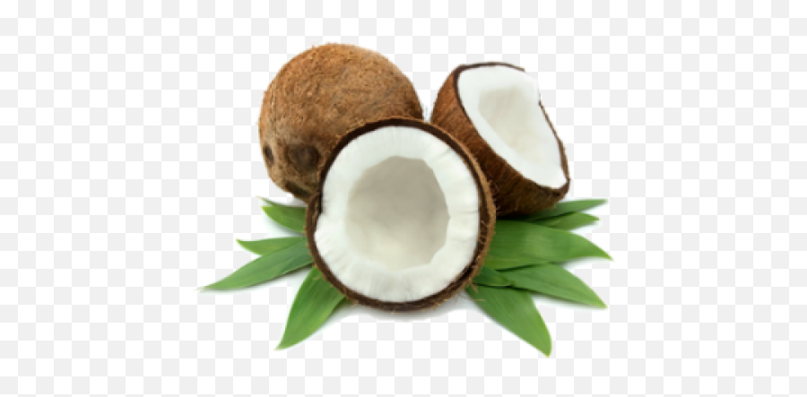 Coconut Essential Oil - Samoan Coconut Png,Coconut Png