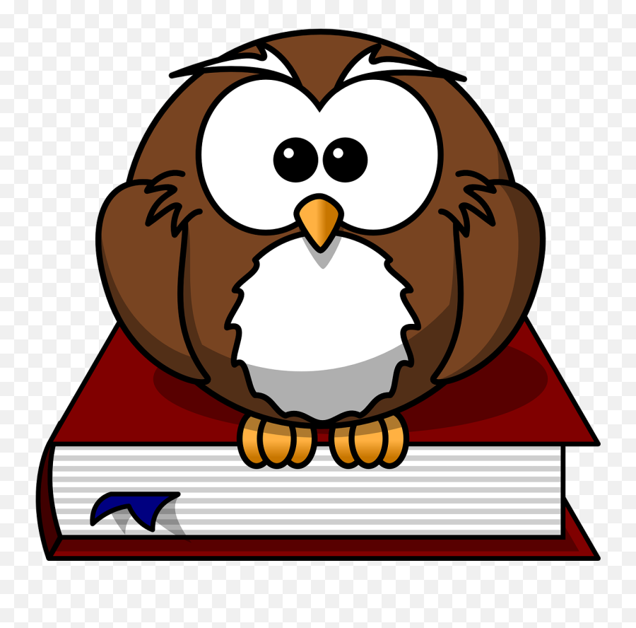 North Hunterdon High School Names Second Marking Period - Owl Sitting On Books Clipart Png,Maverick Logan Paul Logo