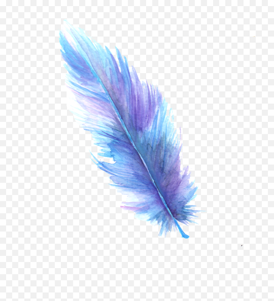 Feather Digital Art Watercolor Painting - Clip Art Transparent Background Feather Png,Feather Transparent Background