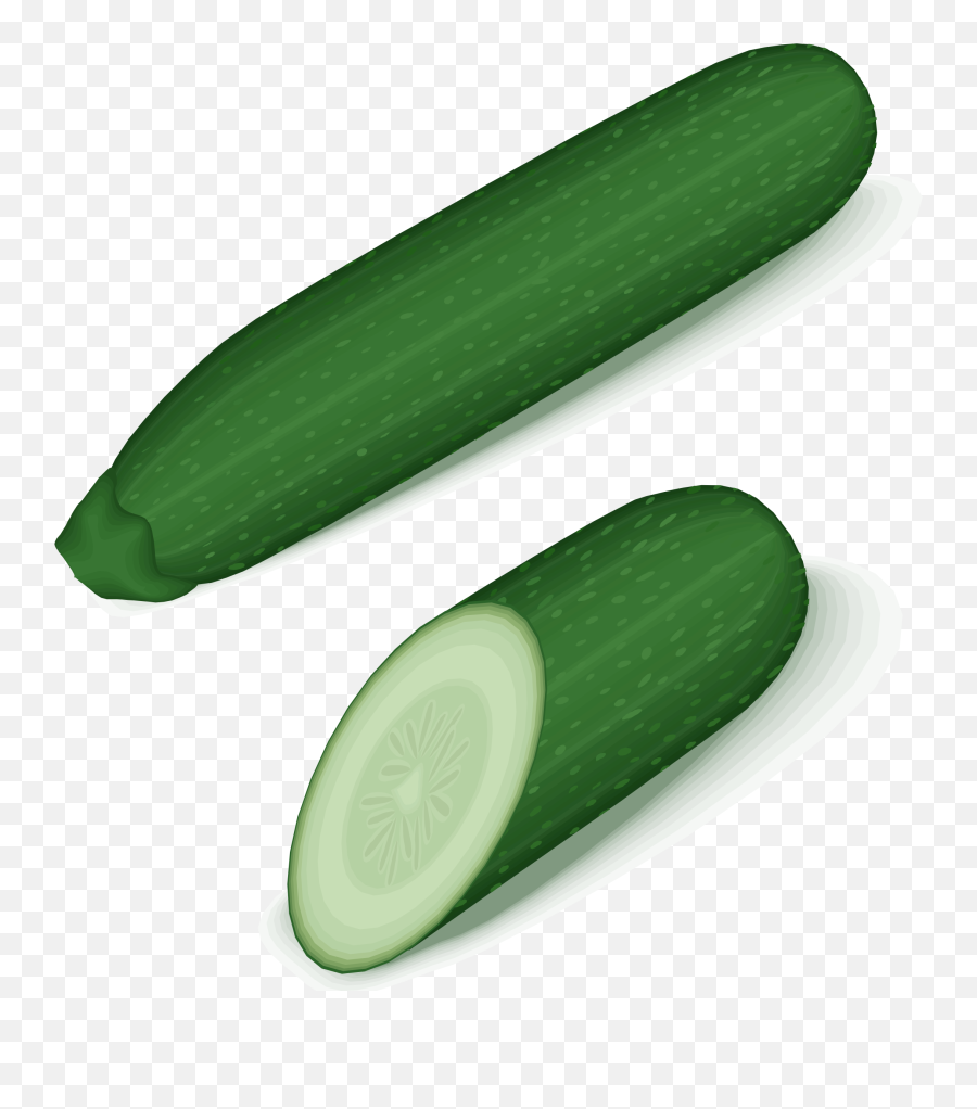 Gourd Orderfoodcucumis Png Clipart - Royalty Free Svg Png Zucchini Clipart Png,Gourd Png