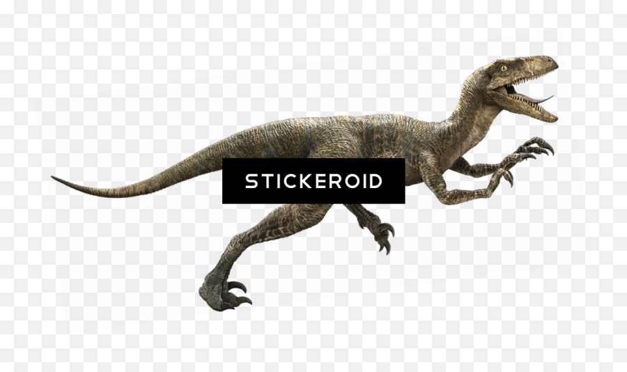 Hd Animals Dinosaur Reptile - T Rex Jurassic World Dinosaur Png,Velociraptor Png