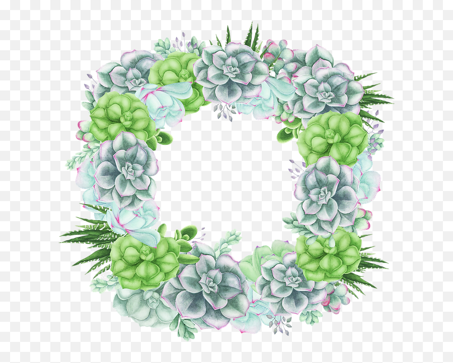 Succulent Rectangular Cactus Cacti - Free Image On Pixabay Hydrangea Png,Succulent Png