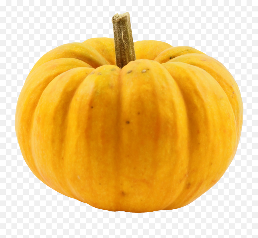 Squash - Squash Png,Squash Png