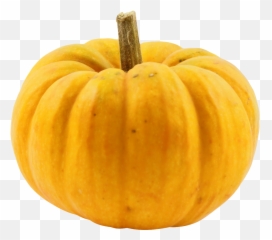 Squash - Squash Png,Squash Png