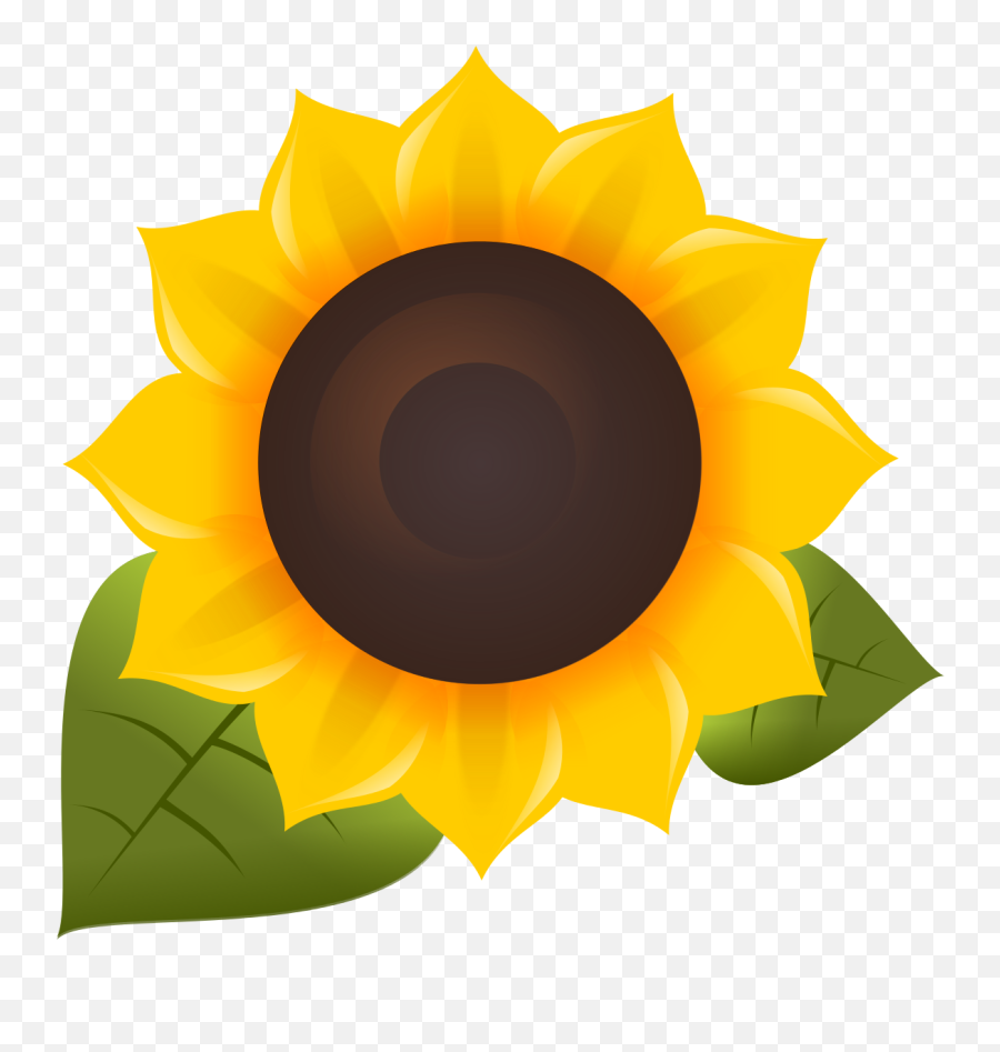 Sunflower Fm Logo - Sunflower Logo Png,Sunflower Logo