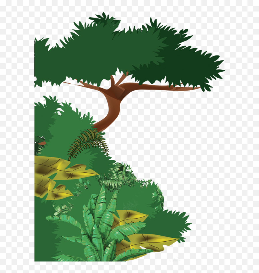 Jungle Plants Png - There Are A Variety Of Plants And Small Dibujo De Selva Húmeda,Jungle Plants Png
