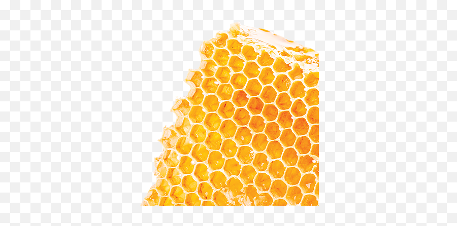 Honey - Polideportivo Chacabuco Park Png,Honeycomb Png