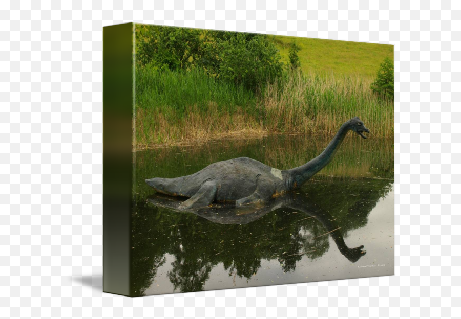 Loch Ness Monster Replica By Richard Thomas - American Alligator Png,Loch Ness Monster Png