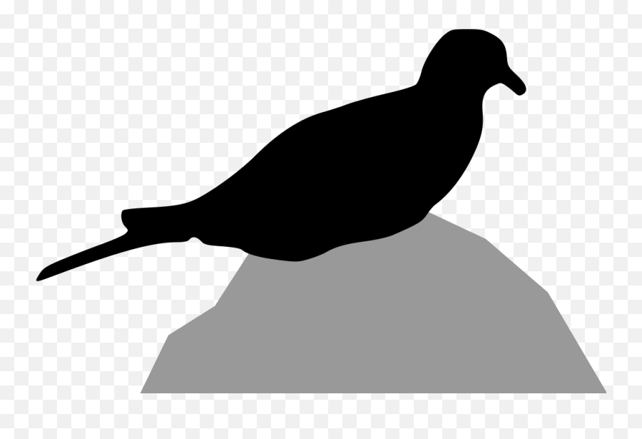 Dove Png Svg Clip Art For Web - Download Clip Art Png Icon Columbidae,Dove Png