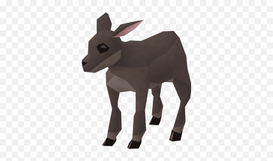 Lamb Runescape Wiki Fandom - Burro Png,Lamb Png