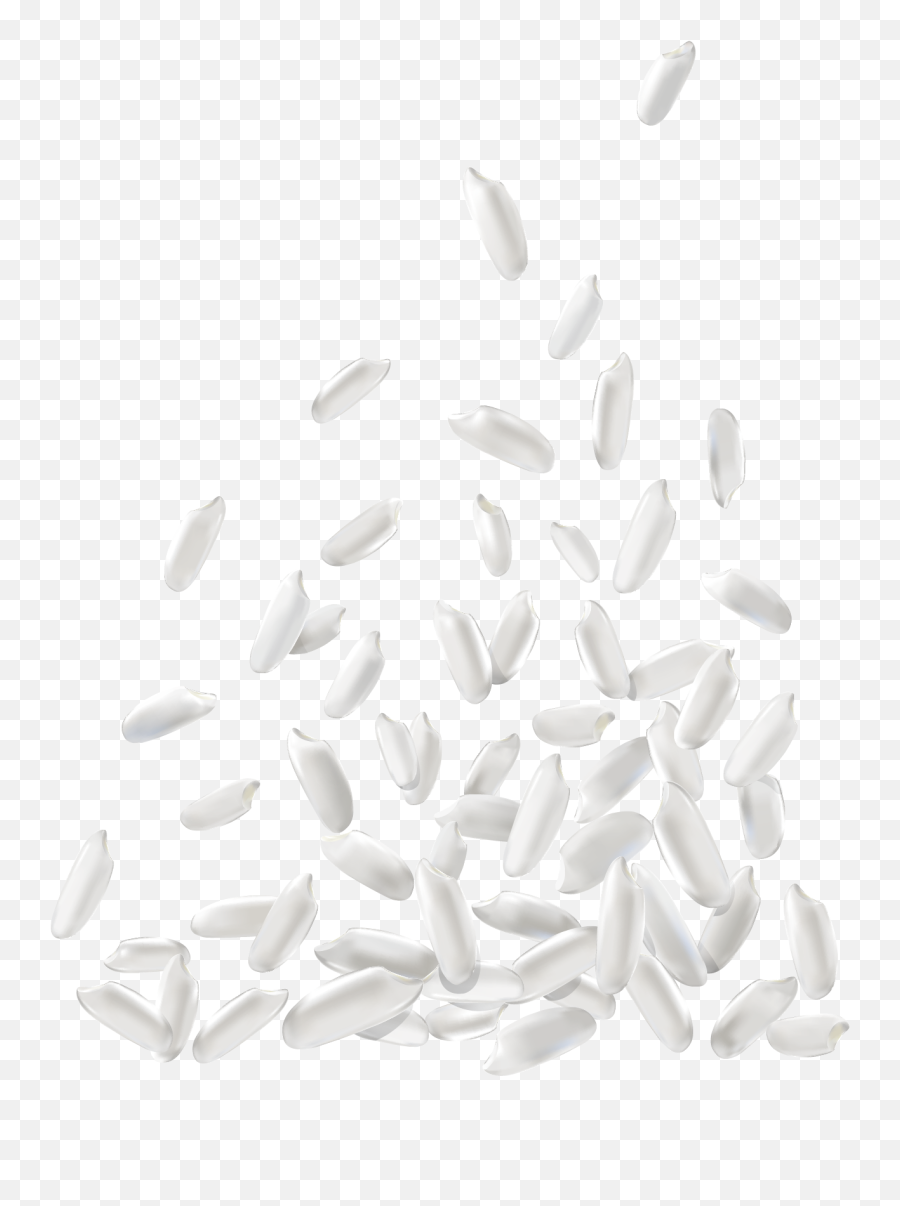 White Rice Png Download Image Arts - White Rice Vector Png,White Texture Png