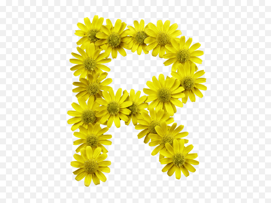 Download Yellow Flowers Font - Letters With Yellow Flower Flores Amarillas Con Letras Png,Yellow Flowers Png