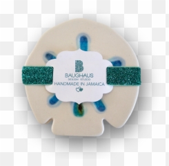 Sand Dollar Glass Crackle Porcelain Coaster Set Of 4 Png