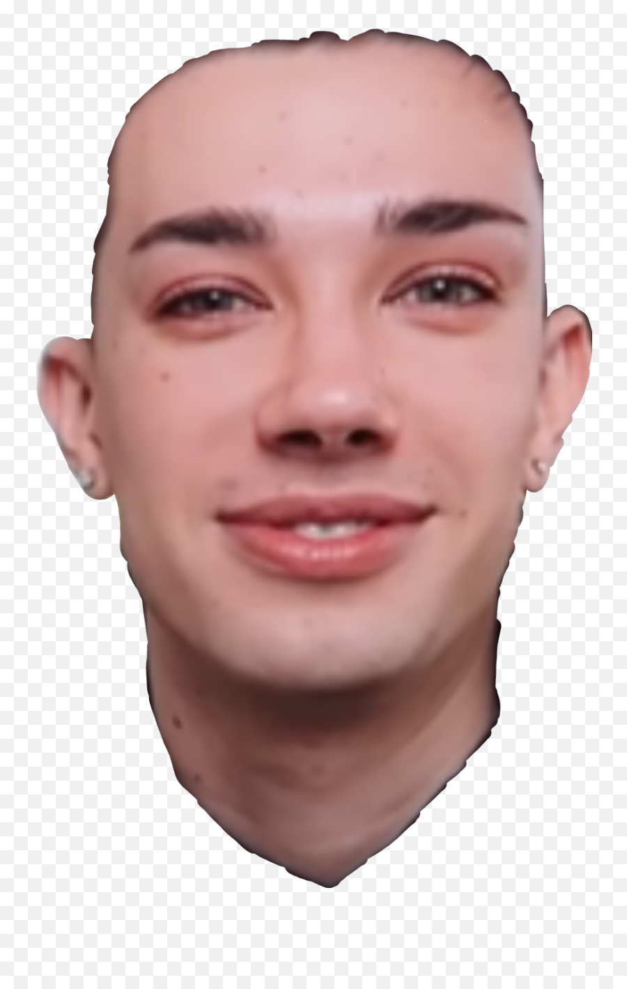 I Tried To See What James Sticker - James Charles Png,James Charles Png