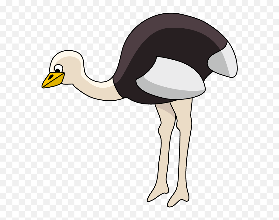 Ostrich Clipart - Common Ostrich Png,Ostrich Png