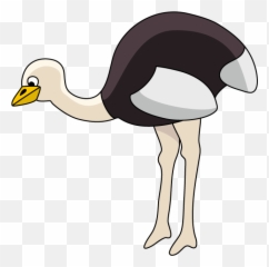 Ostrich Clipart - Common Ostrich Png,Ostrich Png