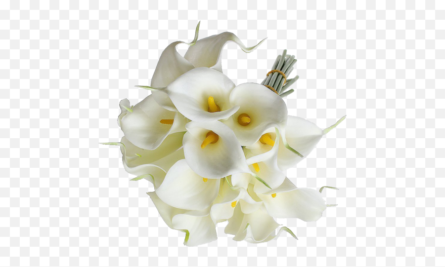 Eforcase Refreshing Calla Lily Bridal - Transparent Calla Lily Flowers Png,Calla Lily Png