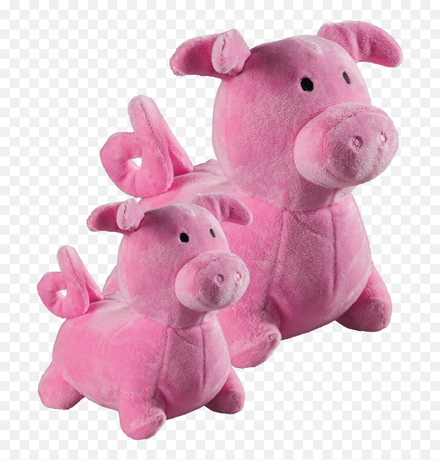 Download Snug N Tug Piggy Plush Dog Toy - Transparent Dog Toys Png,Dog Toy Png
