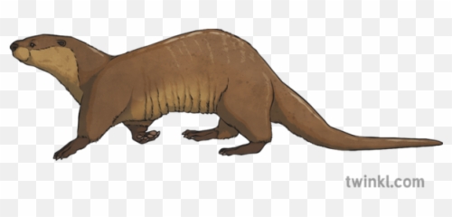An Otter Illustration - Animal Figure Png,Otter Png