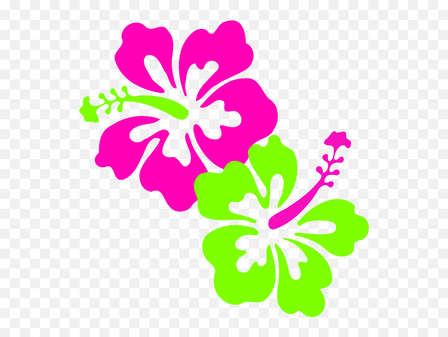 Hibiscus Pink Lime Green Clip Art - Easy Hibiscus Flower Drawing Png,Green Flowers Png