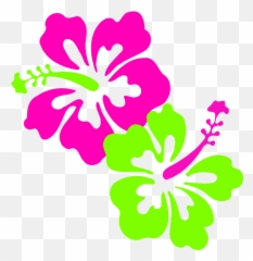 Hibiscus Pink Lime Green Clip Art - Easy Hibiscus Flower Drawing Png,Green Flowers Png