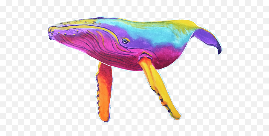 Rainbow Whale Baby Onesie - Animal Figure Png,Whale Transparent