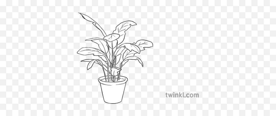 Potted Plant 1 Black And White - Blackberry Fruit Black And White Png,Potted Plant Png