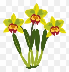 Clip Art Of Orchid Free Image - Pflanzen Clipart Png,Orchids Png