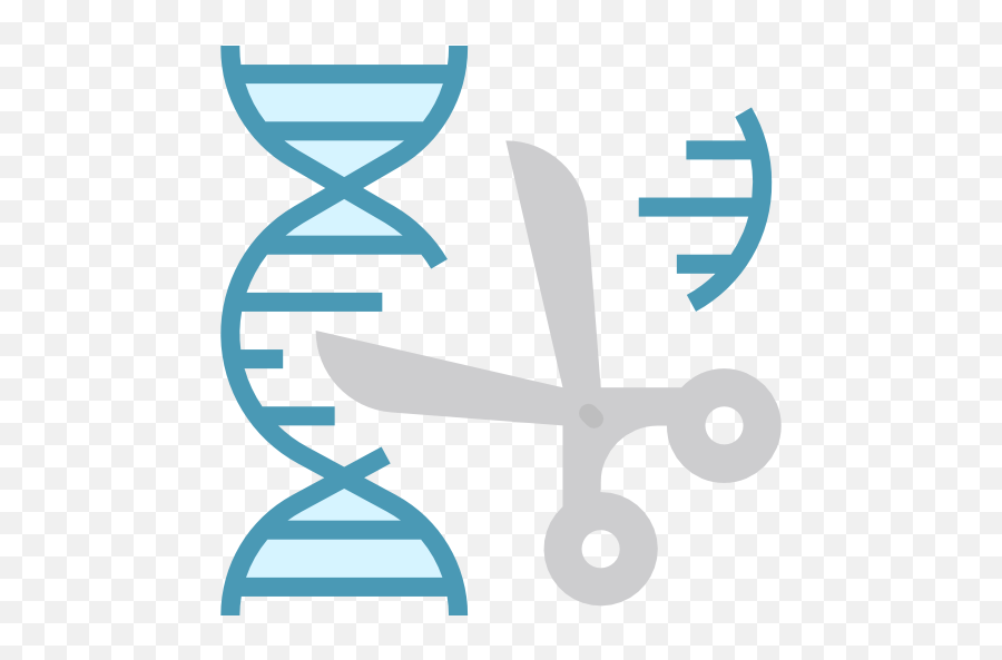 Gene - Gene Icon Png,Genetics Icon