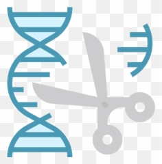 Genetics Ciencia Free Icon Of Science - Ciencia Png Icon,Genetics