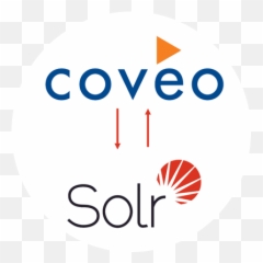Coveo To Solr Migration - Addact Dot png