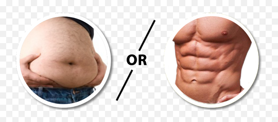 Fat Belly Vs Abs Transparent Cartoon - Jingfm Fat Stomach Vs Abs Png,Abs Png