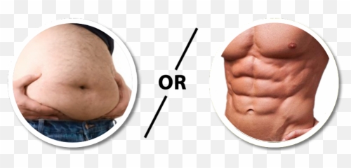 Fat Belly Vs Abs Transparent Cartoon - Jingfm Fat Stomach Vs Abs Png,Abs Png