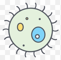Bacteria Vector Svg Icon 62 - PNG Repo Free Icons Sun Outline Images For Kids