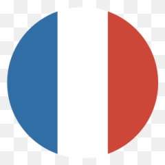 Reunion Island Flag Njq U0026 Associates - France Flag Circle Png,French Language Icon