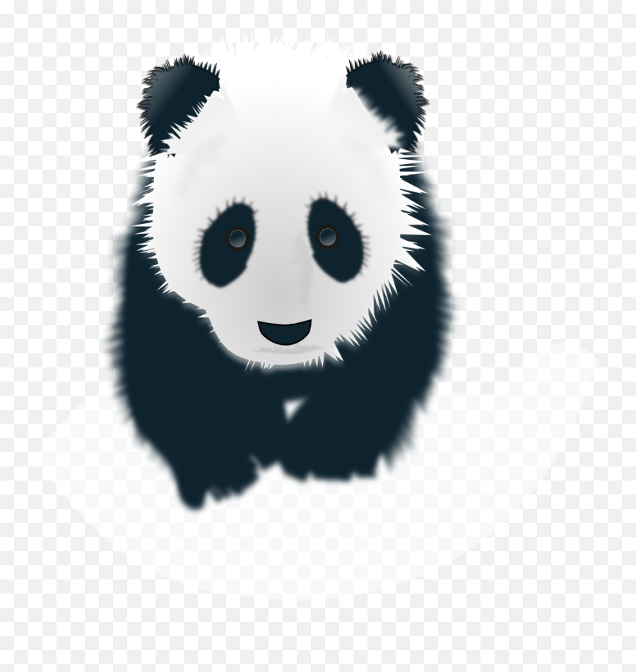 Download Hd Panda Head Drawing - Pandas Black Panda Wallpaper For Phone Hd Png,Pandas Icon