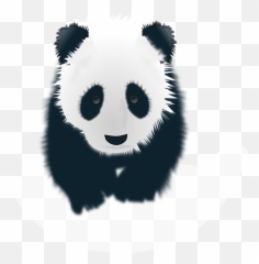 Download Hd Panda Head Drawing - Pandas Black Wallpaper For Phone Hd png