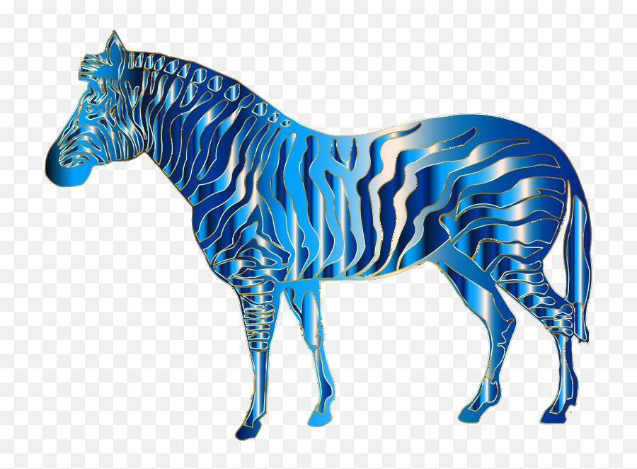 Download Free Png Aquamarine Zebra - Blue Zebra Png,Aquamarine Png