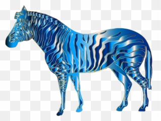 Download Free Png Aquamarine Zebra - Blue Zebra Png,Aquamarine Png