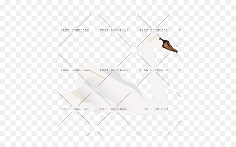 Duck Goose Swan Bird Png Image With Transparent Background - Bloemenboog Met Witte Zwanen,Goose Transparent