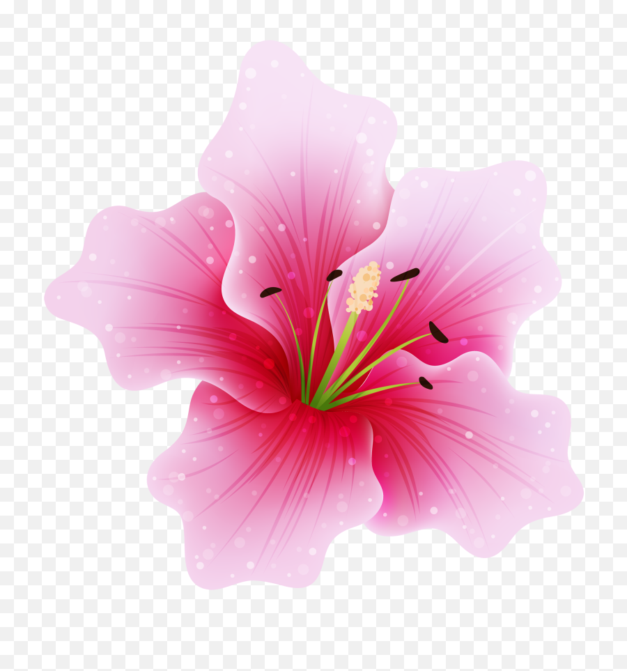 Pink Flowers Png Transparent Image - Flower Png,Hawaiian Flowers Png