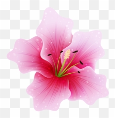 Pink Flowers Png Transparent Image - Flower Png,Hawaiian Flowers Png