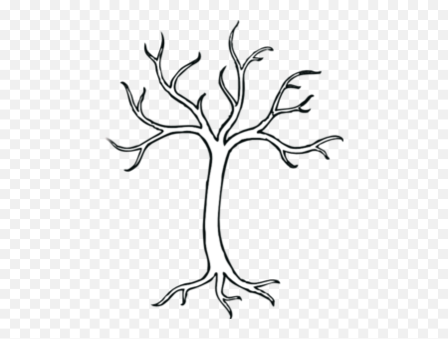 Leafless Tree Drawings - Black And White Tree Branches Clipart Png,Spooky Tree Png