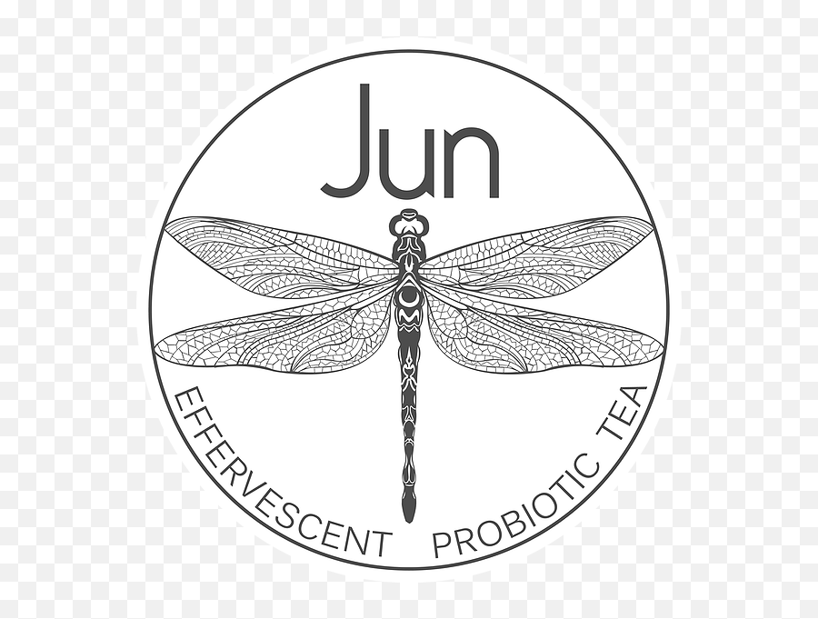 Jun Kombucha Aspen Dragonfly - Special Tactics Training Squadron Png,Dragonfly Png