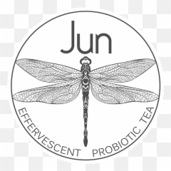 Jun Kombucha Aspen Dragonfly - Special Tactics Training Squadron Png,Dragonfly Png