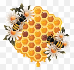 Honey Png - Astrology Visiting Card Design,Beehive Png